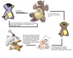 Ciclo%20de%20un%20Kangaskhan.jpg