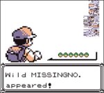 Missingno.jpg