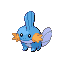 MudkipRFVH.png