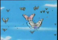 Adiós Butterfree