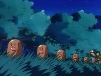 ¡Saquen a esos Diglett!