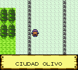 Ciudad Olivo