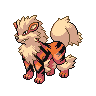 Arcanine