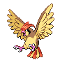 Pidgeotto