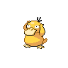 Psyduck