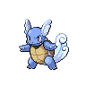 Wartortle