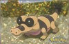 Sandile